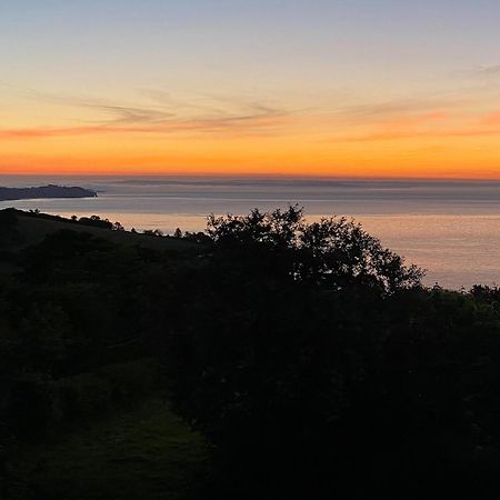 Cliff Lodge Torquay Bagian luar foto